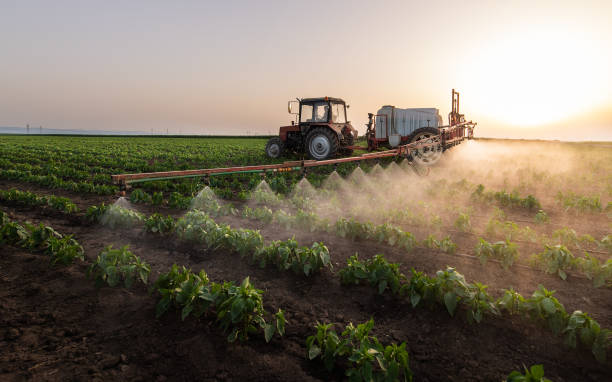 Best Commercial Pest Control Services  in Cimarron Hills, CO