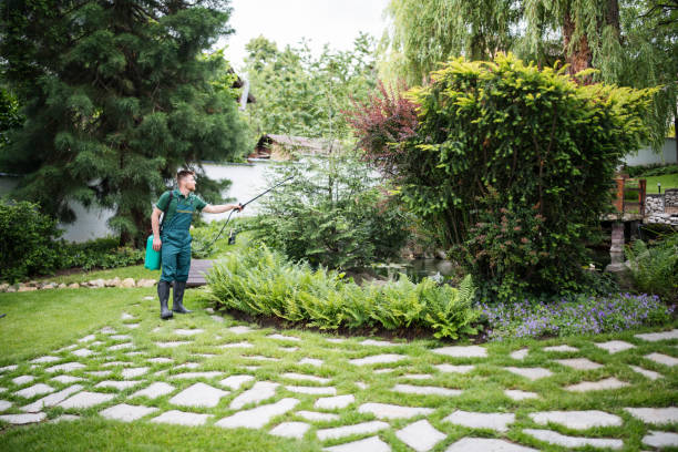 Wildlife Control Services in Cimarron Hills, CO
