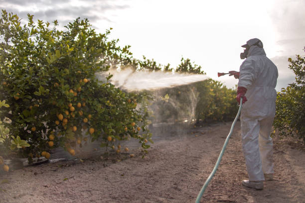 Best Affordable Pest Control Services  in Cimarron Hills, CO