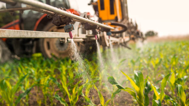 Pest Prevention Services in Cimarron Hills, CO