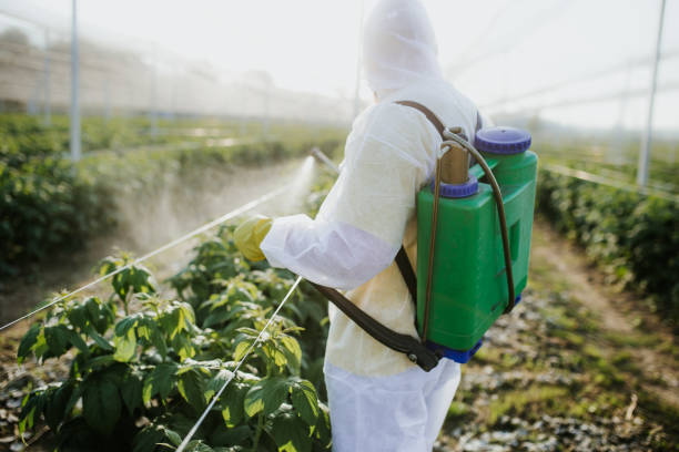 Best Best Pest Control Companies  in Cimarron Hills, CO